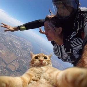 Meet your Posher, Peggy